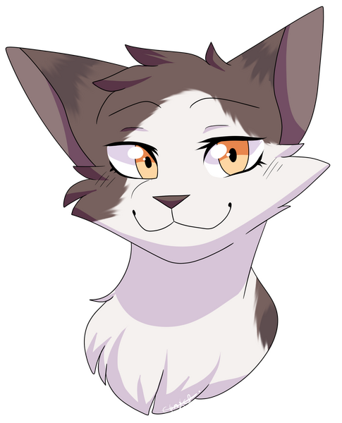 Commission for Cactusflower