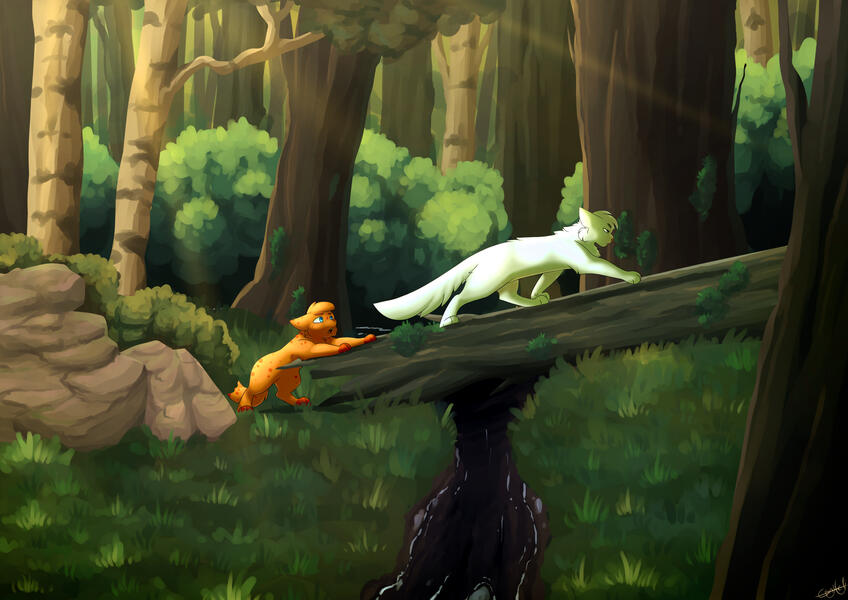 DoveFeather and FirePaw