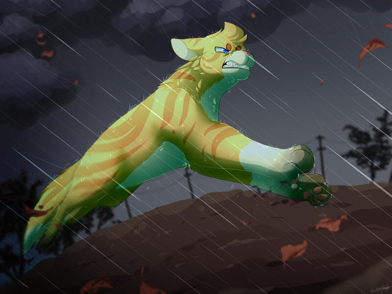 In the center of the storm