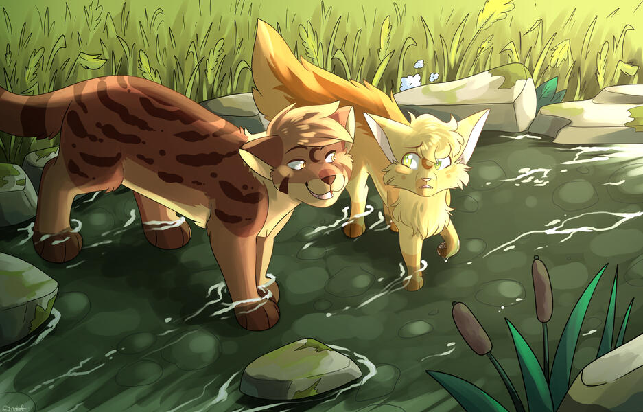 Do you think I can make it?