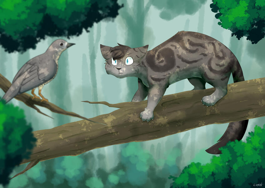 ThrushFeather hunting