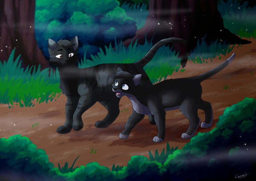 Walking side by side