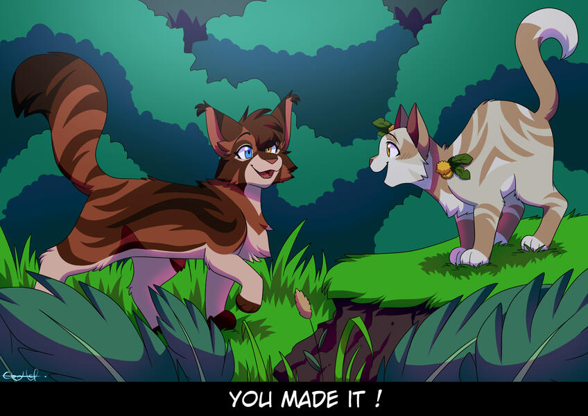 Commission for redhowlz