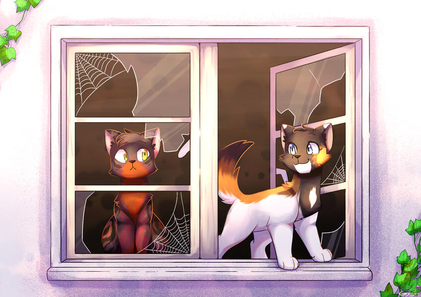 PineKit and WhiteKit